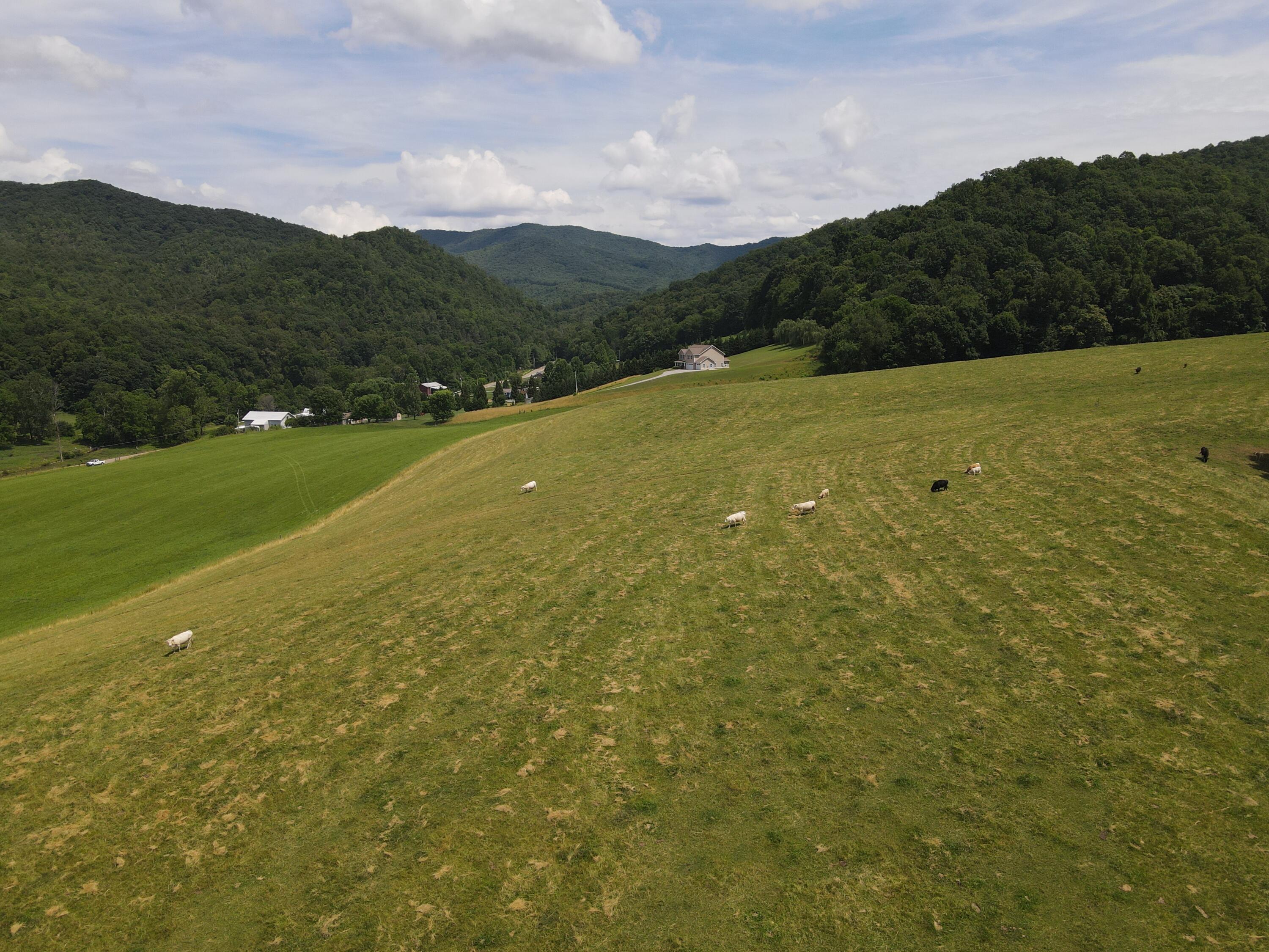 Tbd Whispering Pines Road, Unit 15 Johnson City, TN 37601 - Photo 2 of 6 DJI_0398