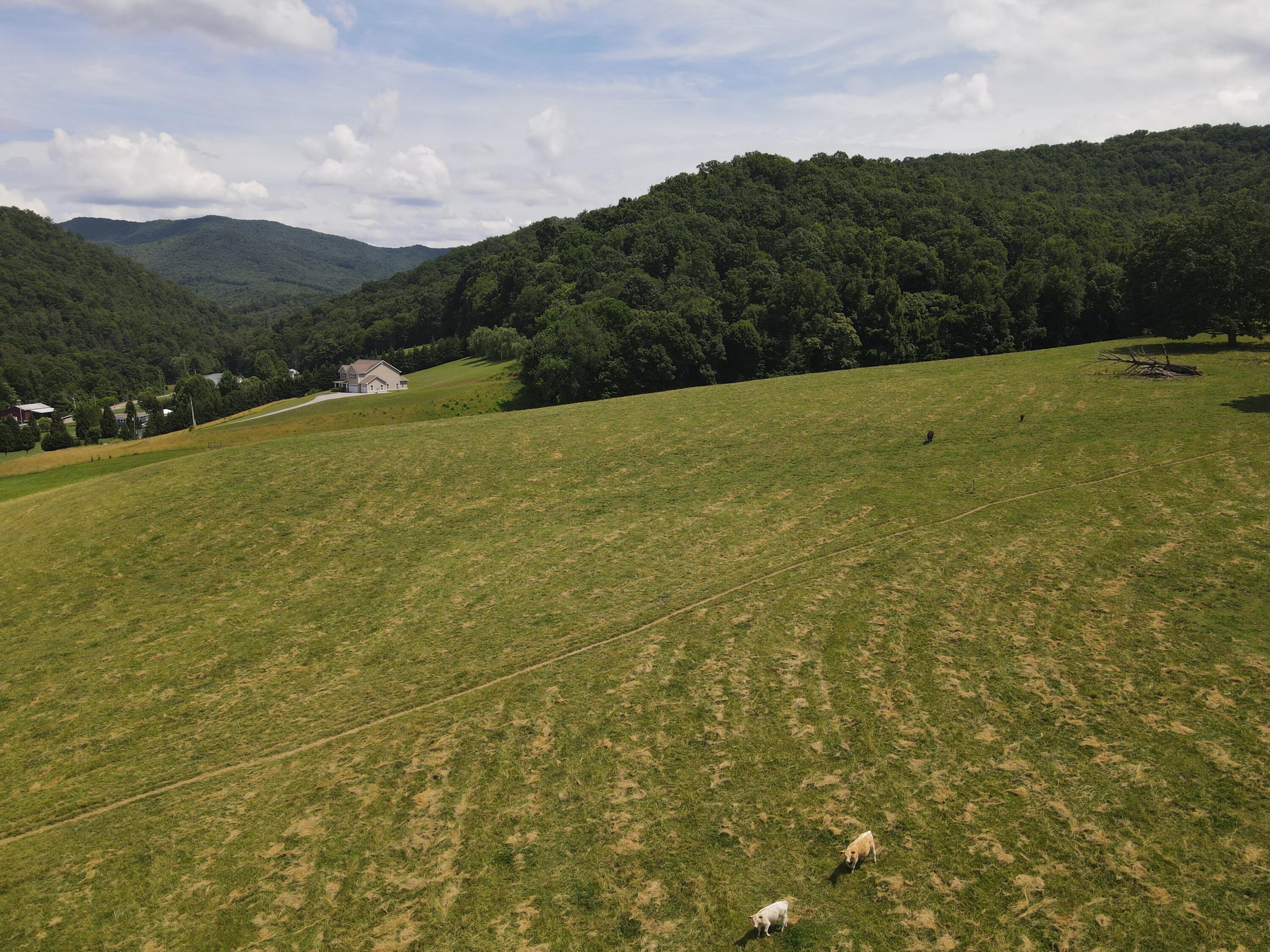 Tbd Whispering Pines Road, Unit 15 Johnson City, TN 37601 - Photo 3 of 6 DJI_0399