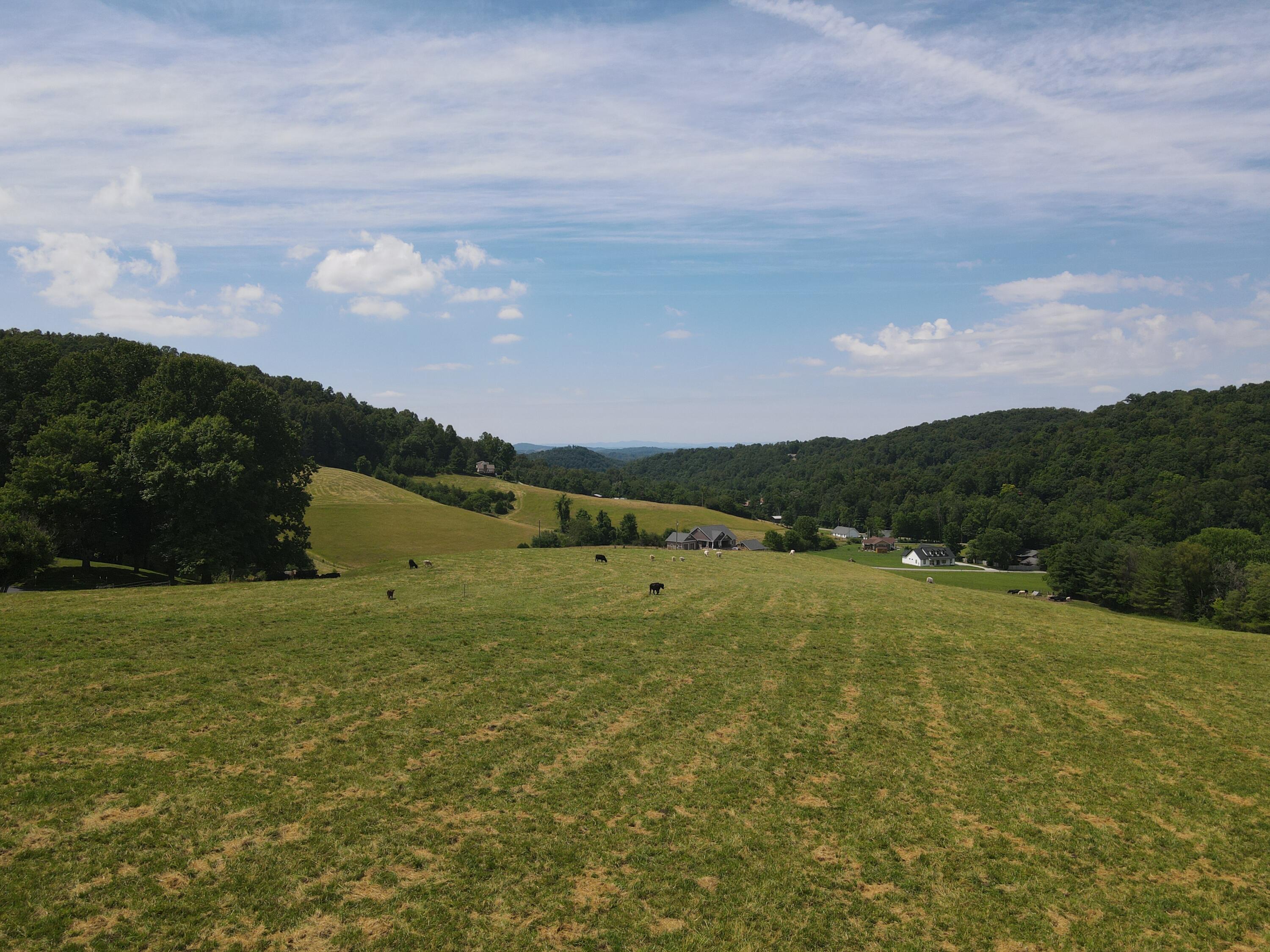 Tbd Whispering Pines Road, Unit 15 Johnson City, TN 37601 - Photo 4 of 6 DJI_0402
