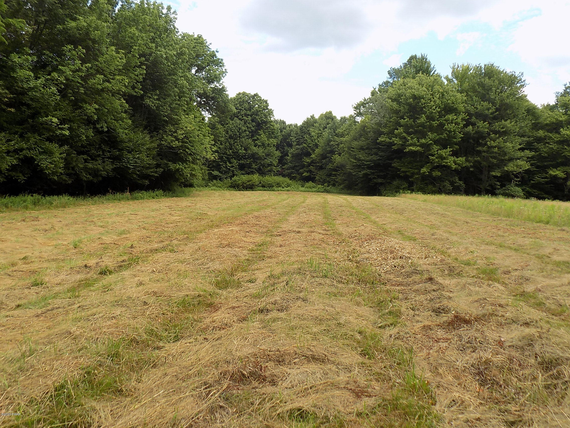 Lot 9 Phillips Road Newfoundland, PA 18445 - Photo 1 of 17