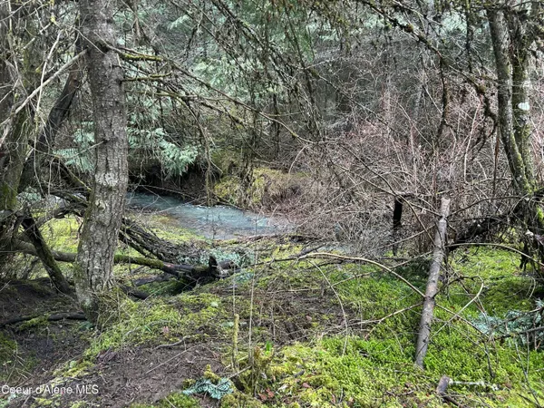 $95,000 | Nna East Bell Canyon Road, Harrison, ID 83833