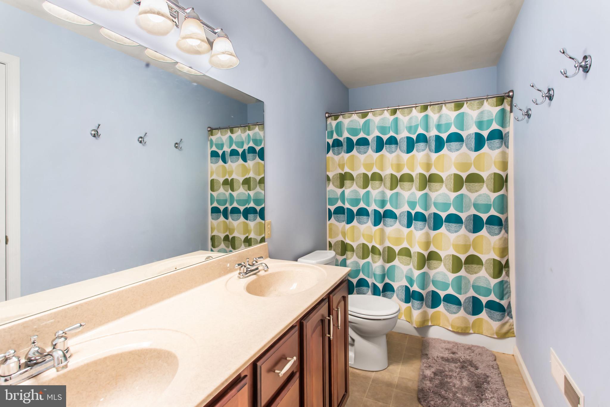 216 Blooming Grove Road Hanover, PA 17331 - Photo 48 of 60 a bathroom with a sink a toilet and shower curtain