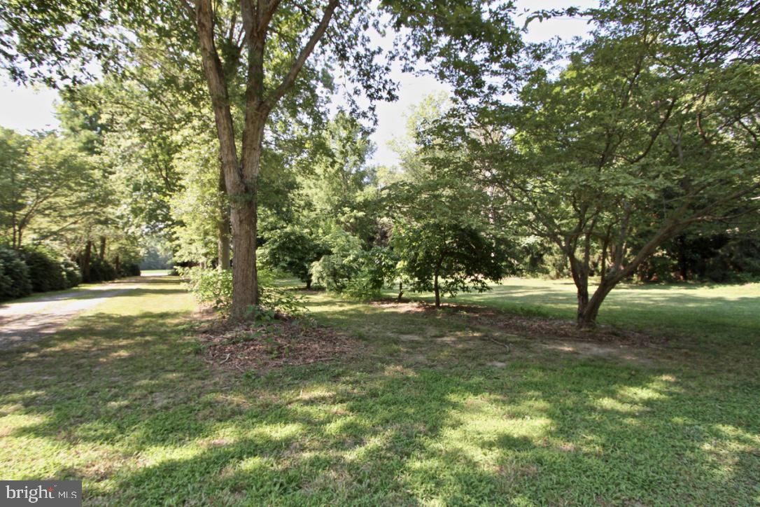 1138 Walnut Shade Road Dover, DE 19901 - Photo 34 of 34 Gallery Image 34