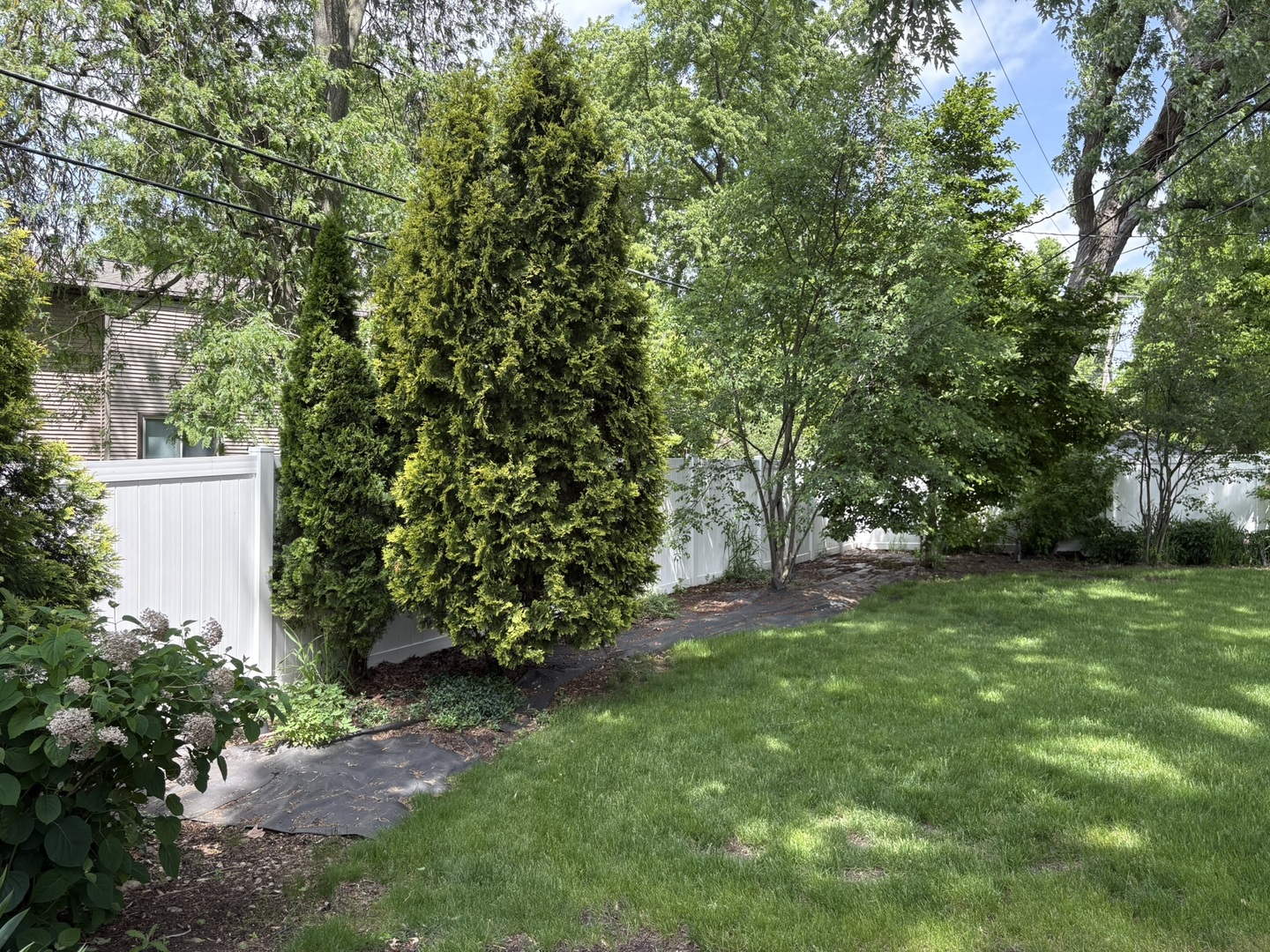 609 West Gartner Road Naperville, IL 60540 - Photo 23 of 23 a backyard of a house with lots of green space
