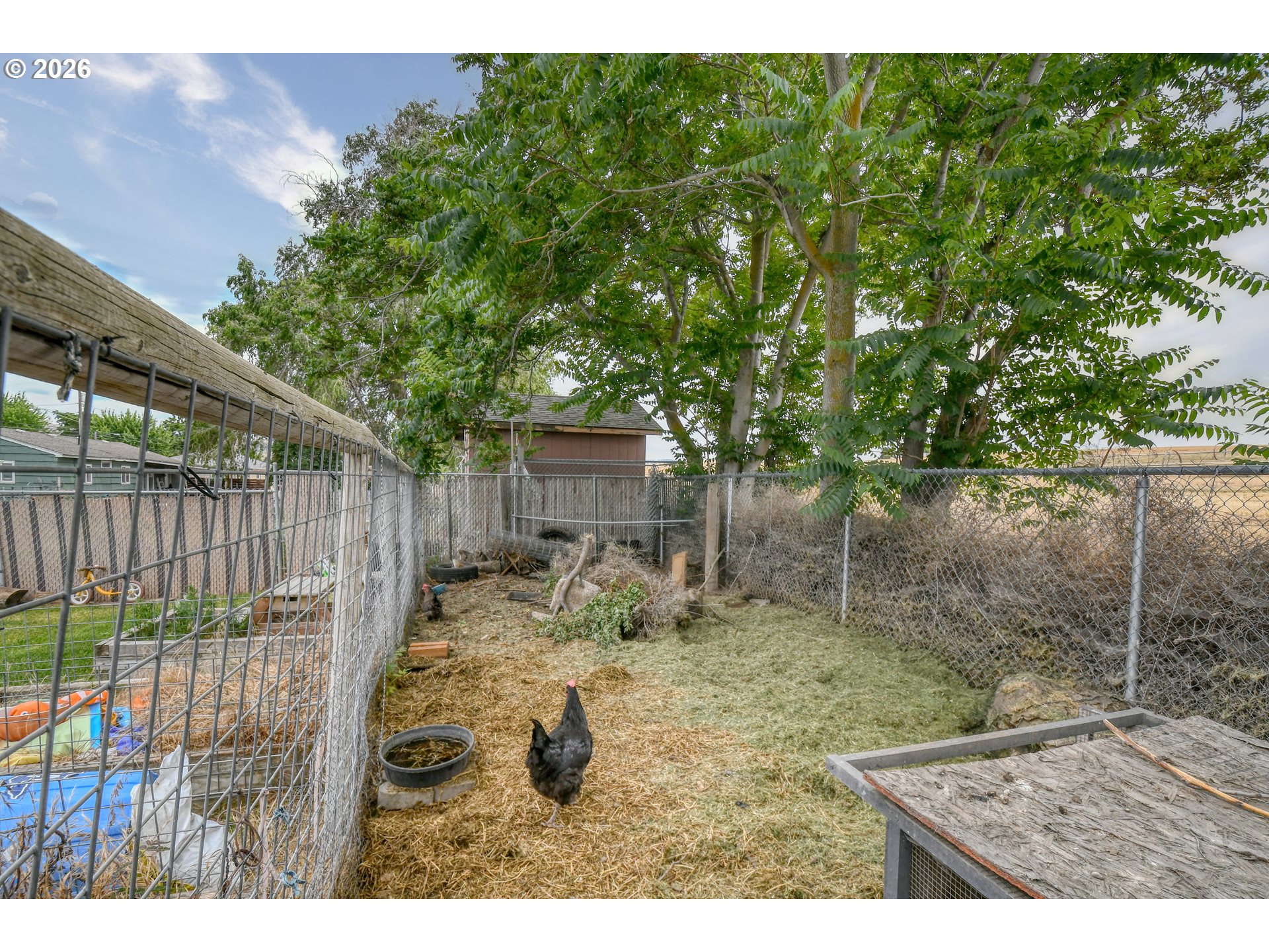 853 Southwest Cedar Street Pilot Rock, OR 97868 - Photo 31 of 34
