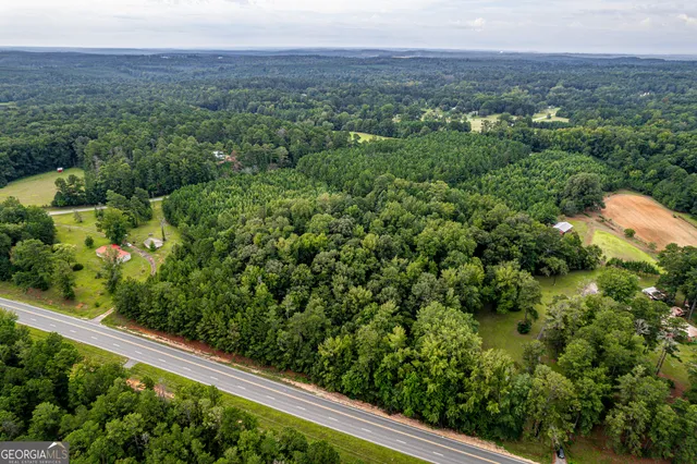 a view of a green field with lots of bushes