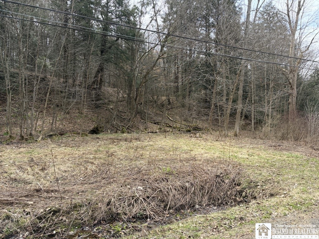 1760 Emory Hill Road Frewsburg, NY 14738 - Photo 7 of 9