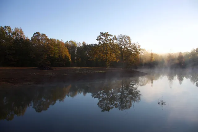a view of dirt yard with a trees