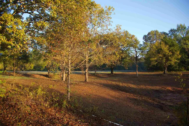 a view of house with backyard