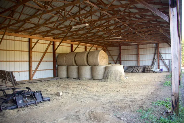 a view of backyard with tree