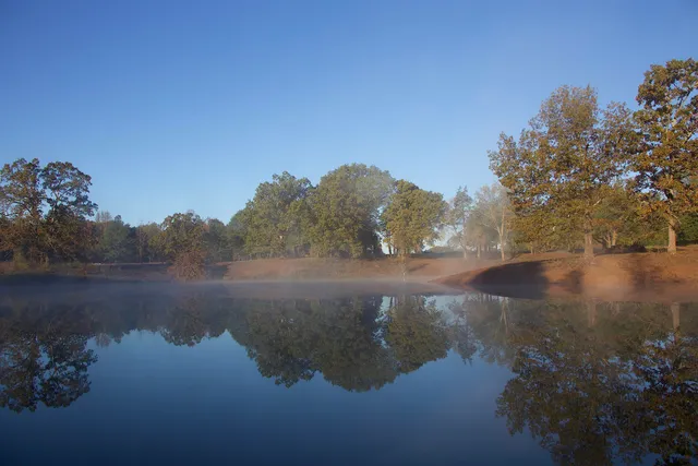 a view of dirt field with large trees