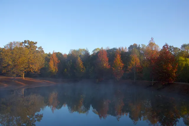 a view of a lake from a yard