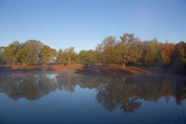 a picture of flowers