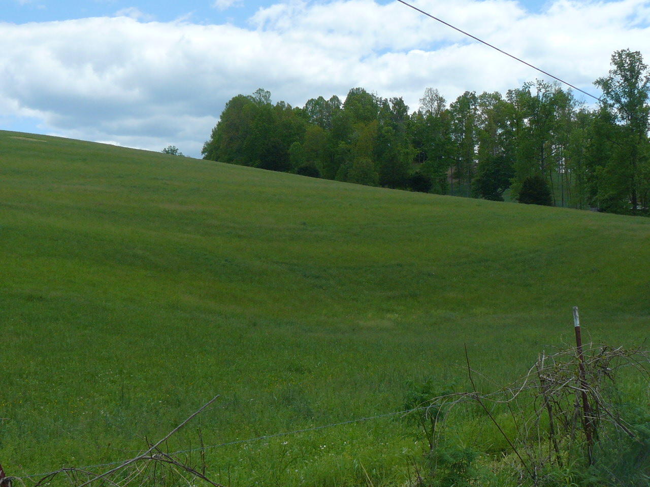 Clouds Road New Tazewell, TN 37825 - Photo 1 of 27 P1410244