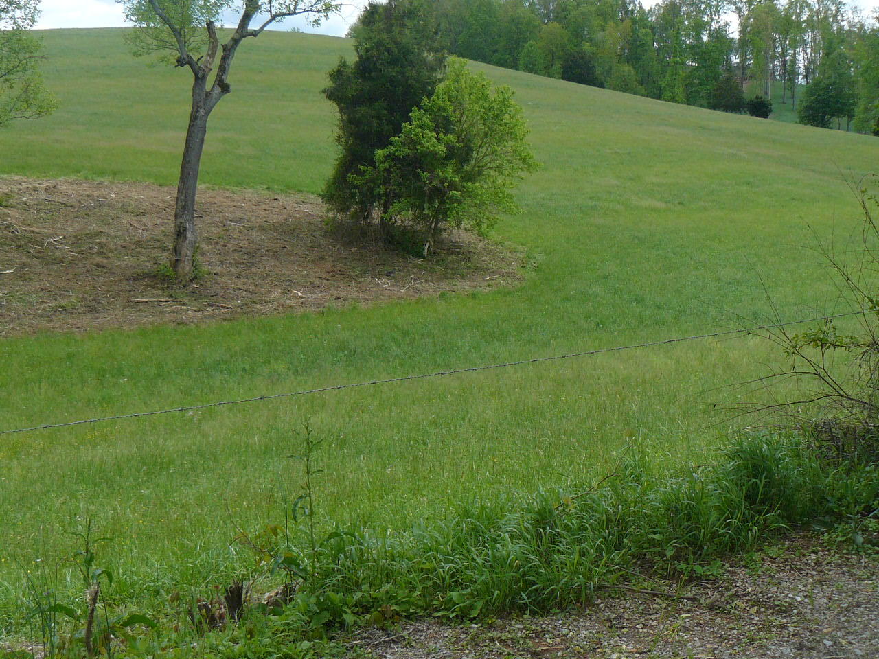 Clouds Road New Tazewell, TN 37825 - Photo 2 of 27 P1410241