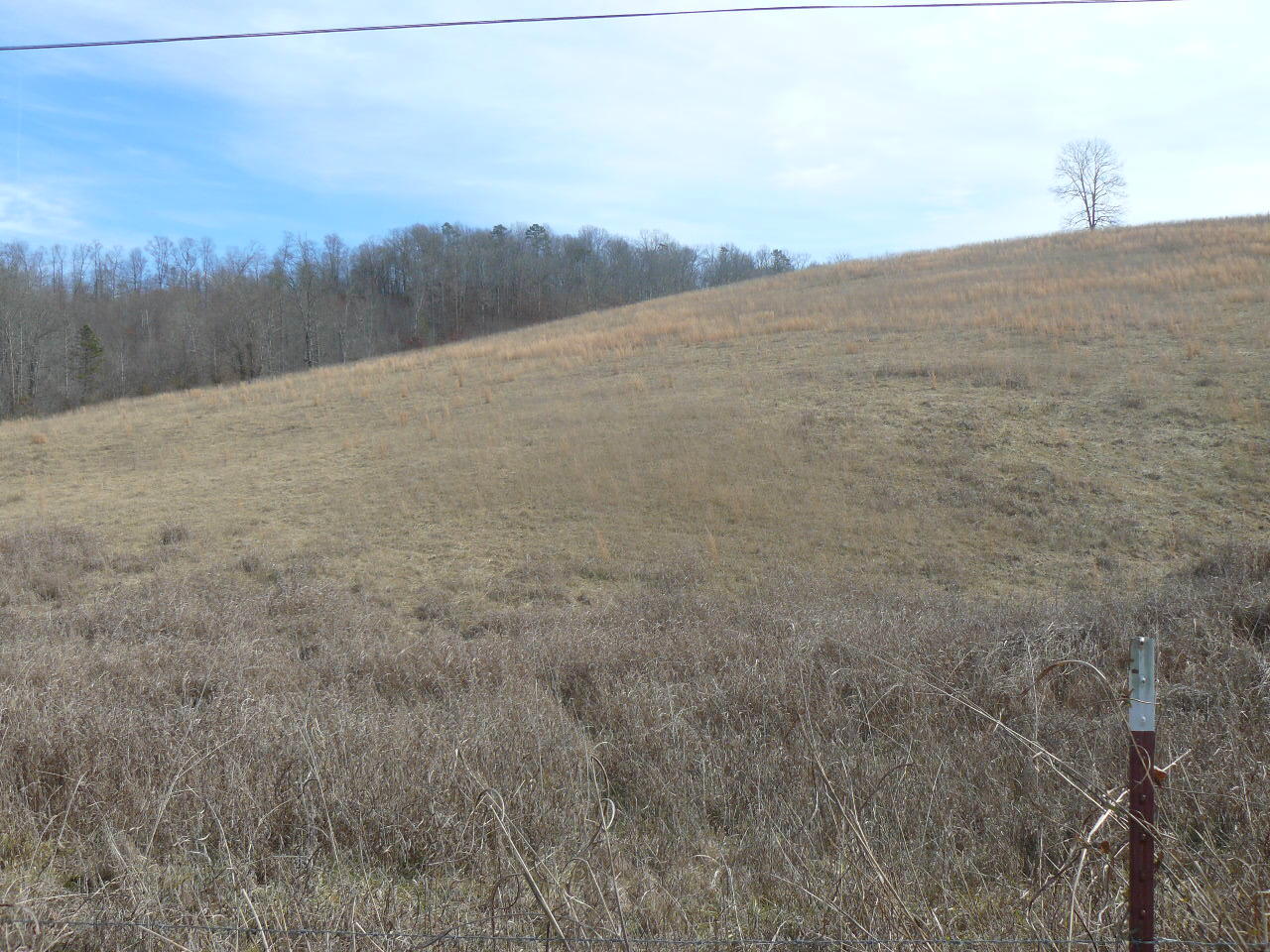 Clouds Road New Tazewell, TN 37825 - Photo 12 of 27 P1390133