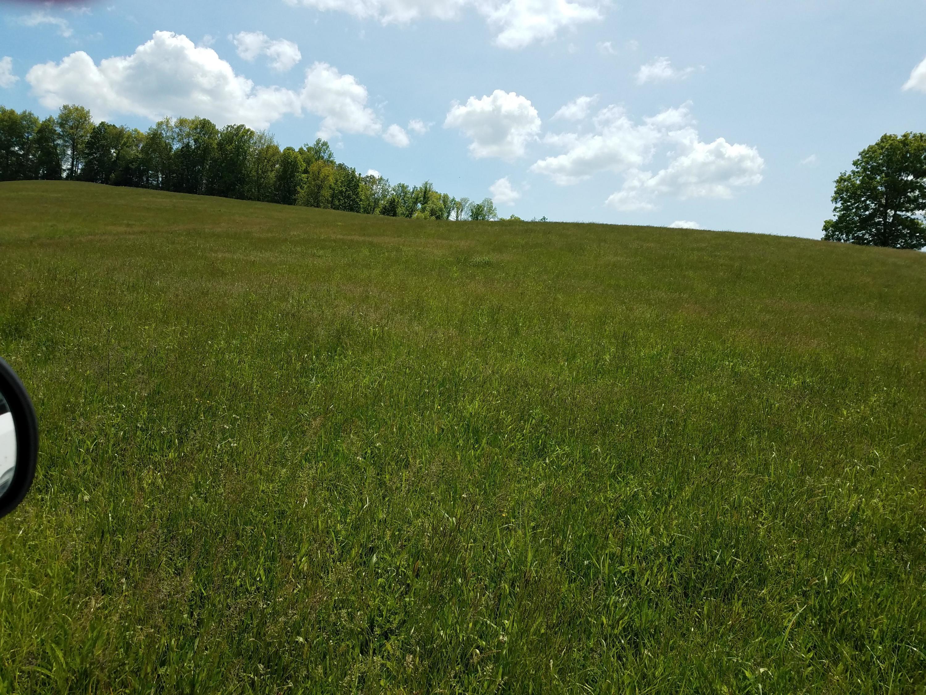 Clouds Road New Tazewell, TN 37825 - Photo 13 of 27 20200516_144601