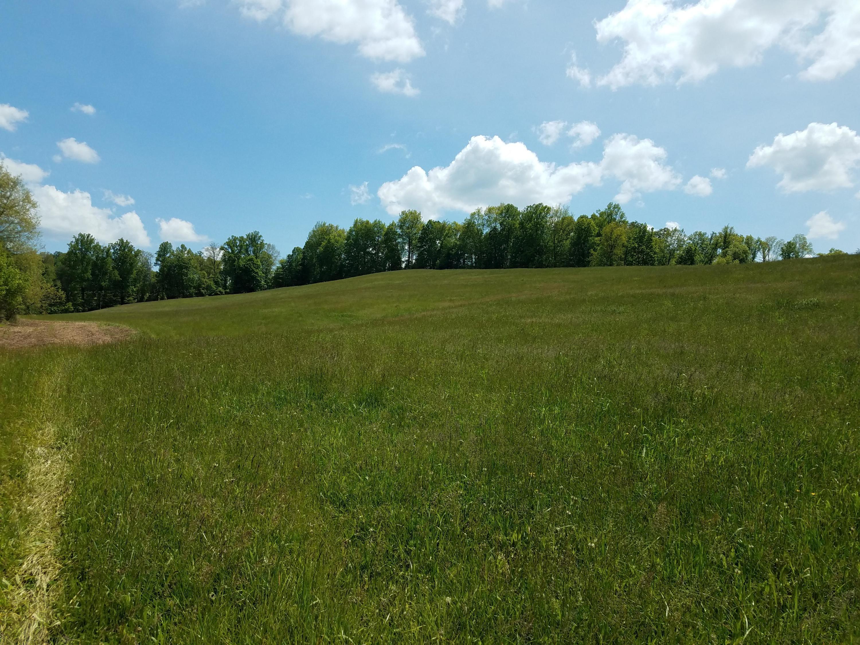 Clouds Road New Tazewell, TN 37825 - Photo 14 of 27 20200516_144619