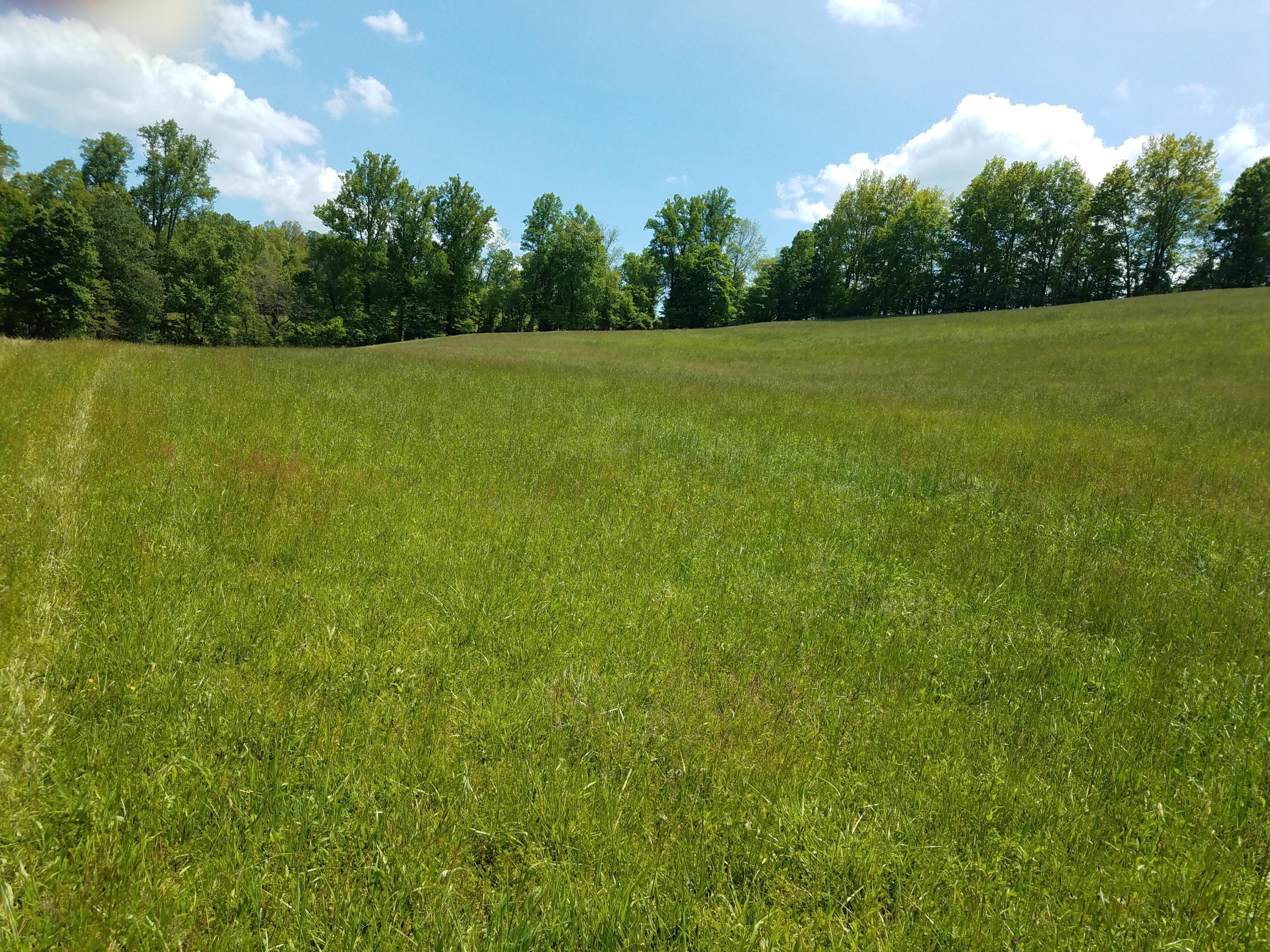 Clouds Road New Tazewell, TN 37825 - Photo 15 of 27 20200516_144726