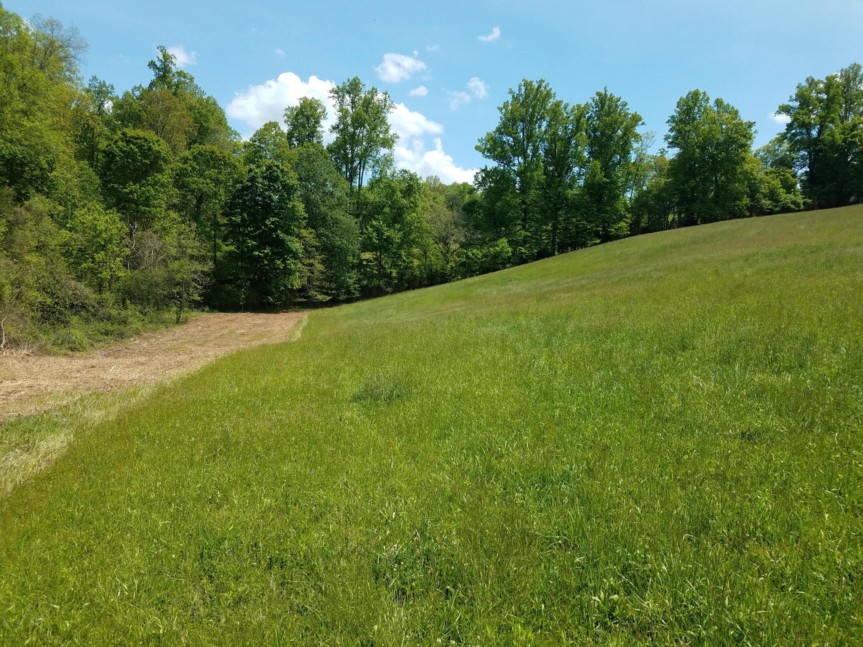 Clouds Road New Tazewell, TN 37825 - Photo 16 of 27 20200516_144831