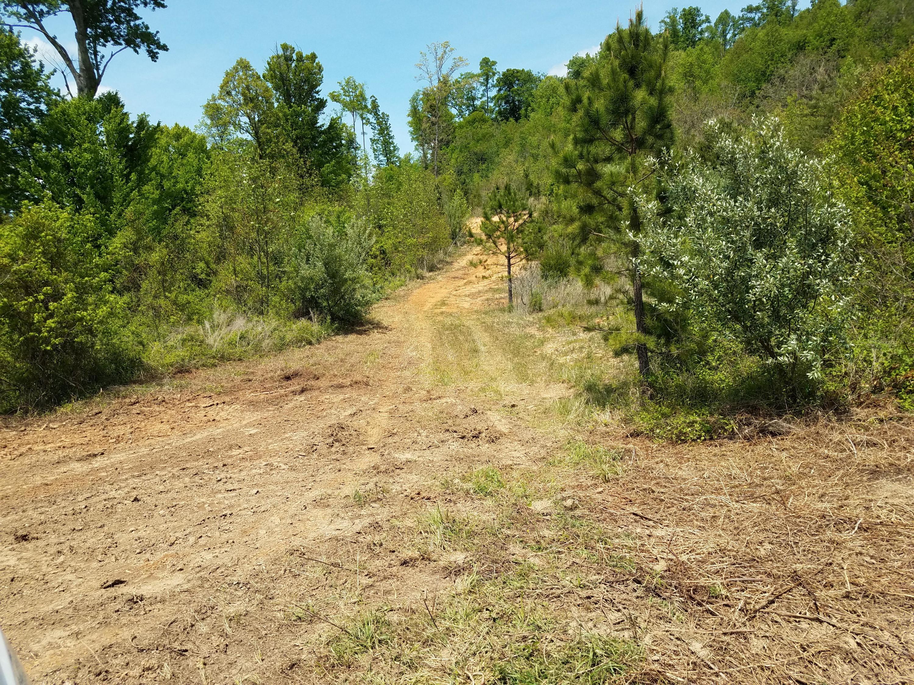 Clouds Road New Tazewell, TN 37825 - Photo 17 of 27 20200516_145002