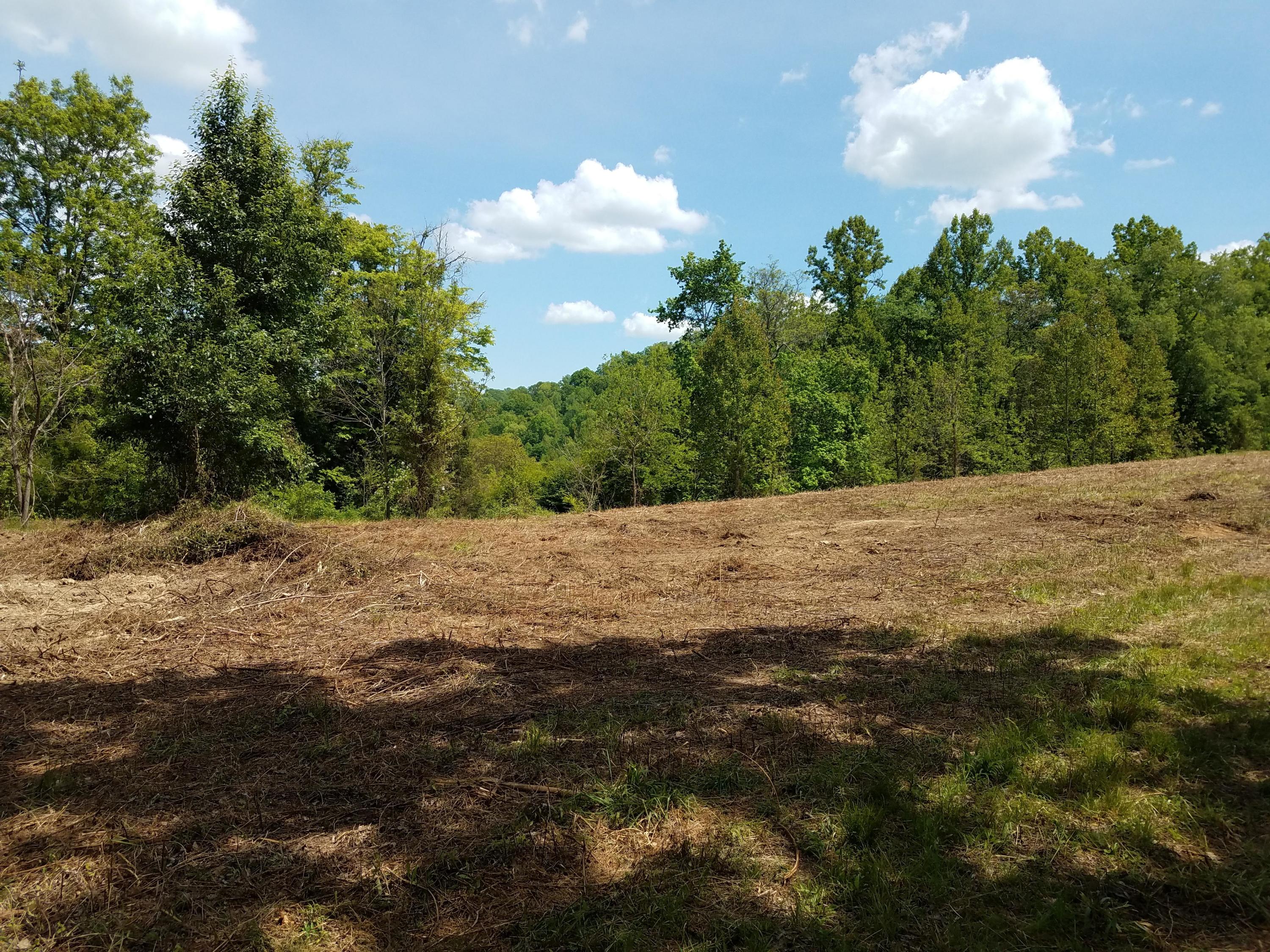 Clouds Road New Tazewell, TN 37825 - Photo 18 of 27 20200516_145838