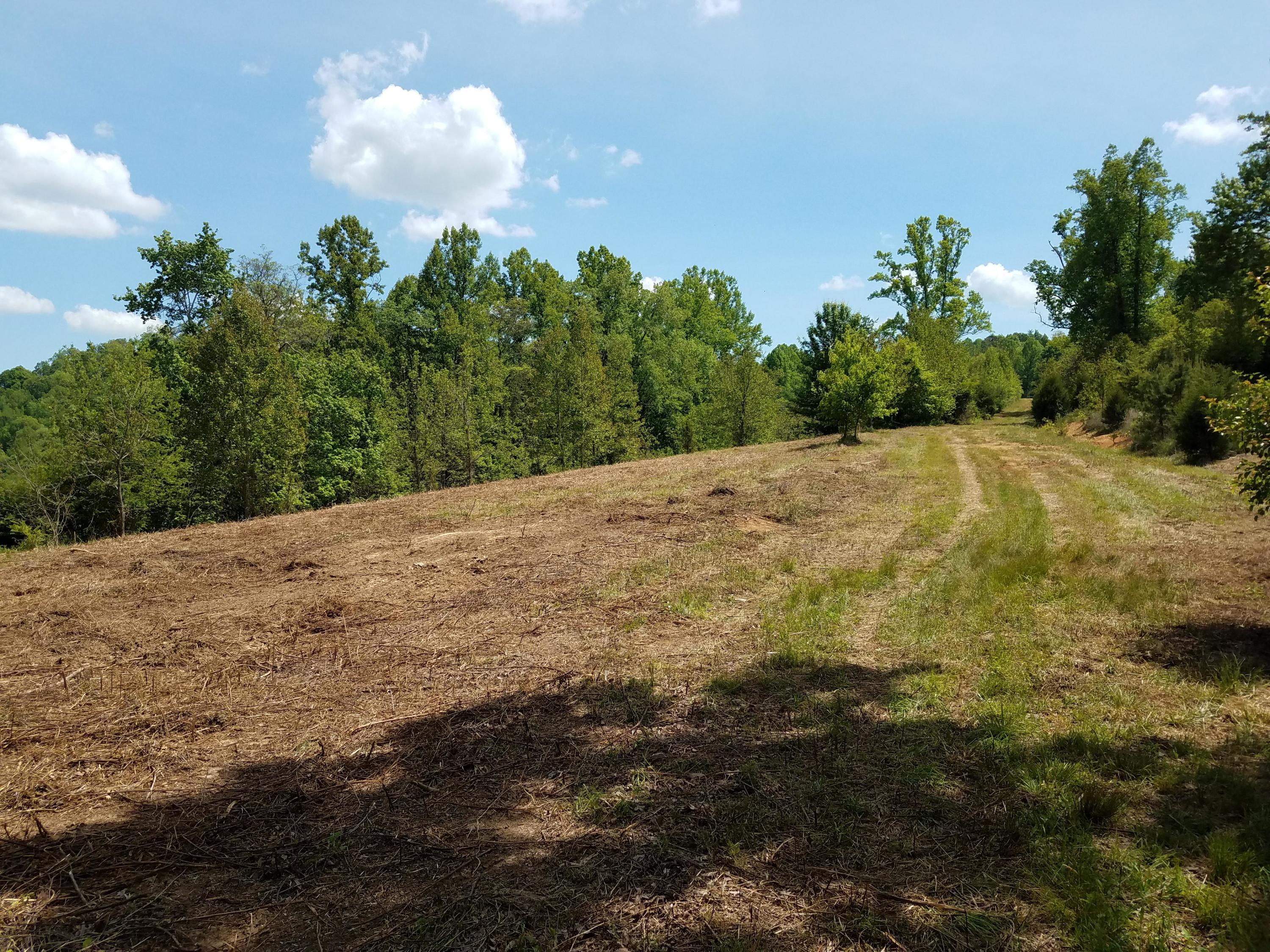 Clouds Road New Tazewell, TN 37825 - Photo 19 of 27 20200516_145848