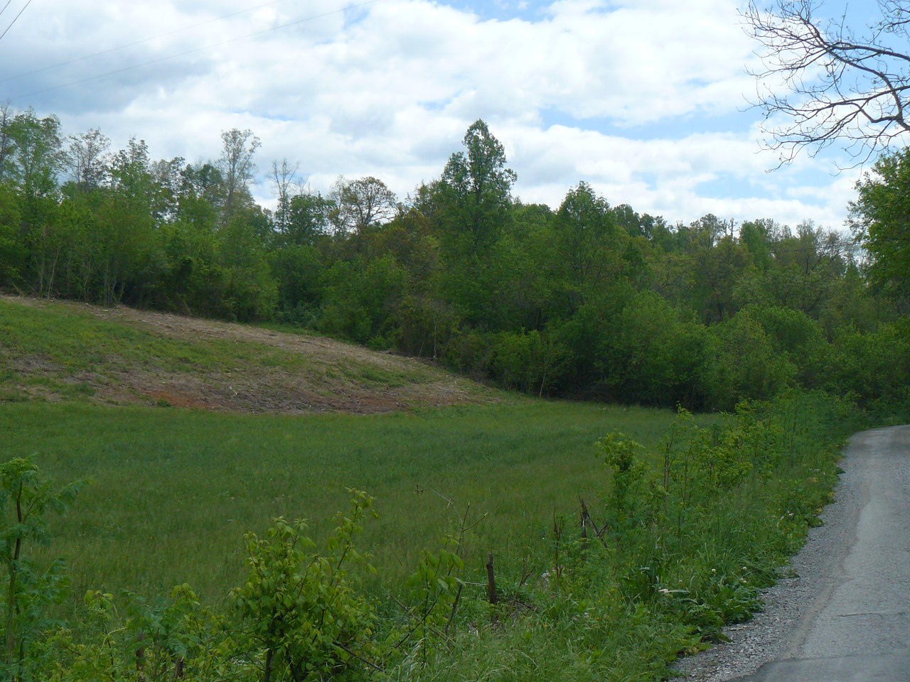 Clouds Road New Tazewell, TN 37825 - Photo 3 of 27 P1410238