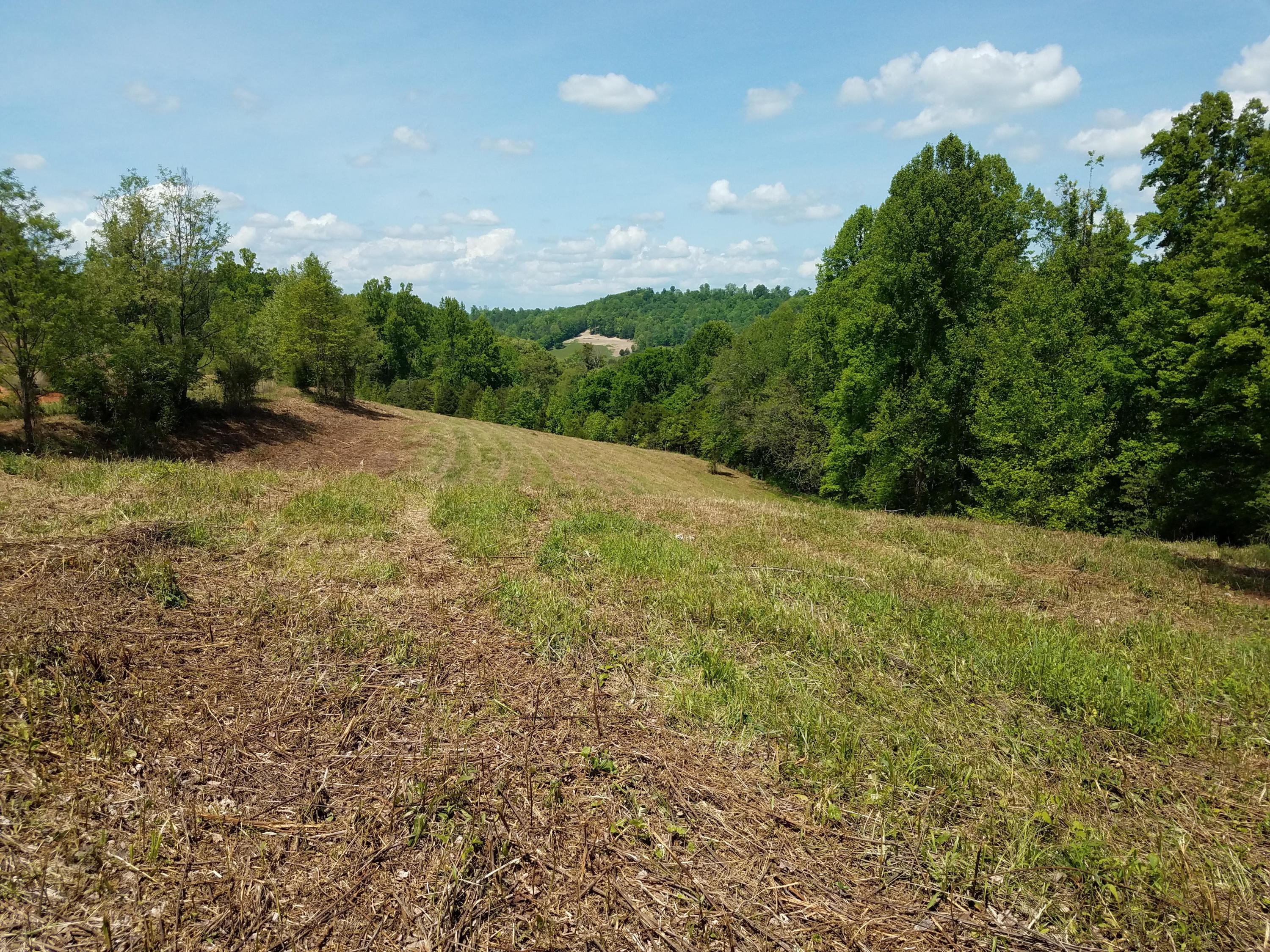 Clouds Road New Tazewell, TN 37825 - Photo 21 of 27 20200516_150519