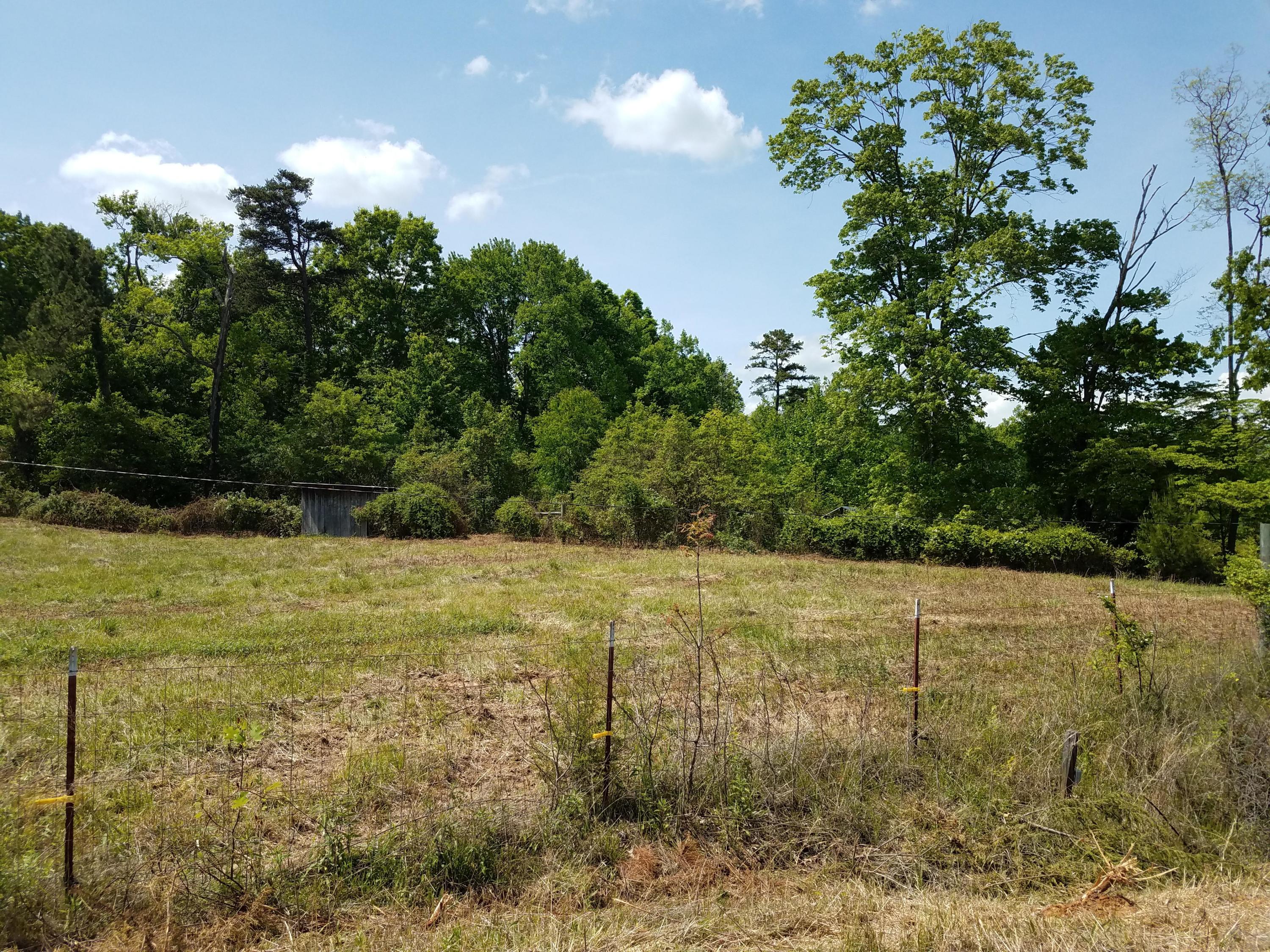 Clouds Road New Tazewell, TN 37825 - Photo 24 of 27 20200516_150856