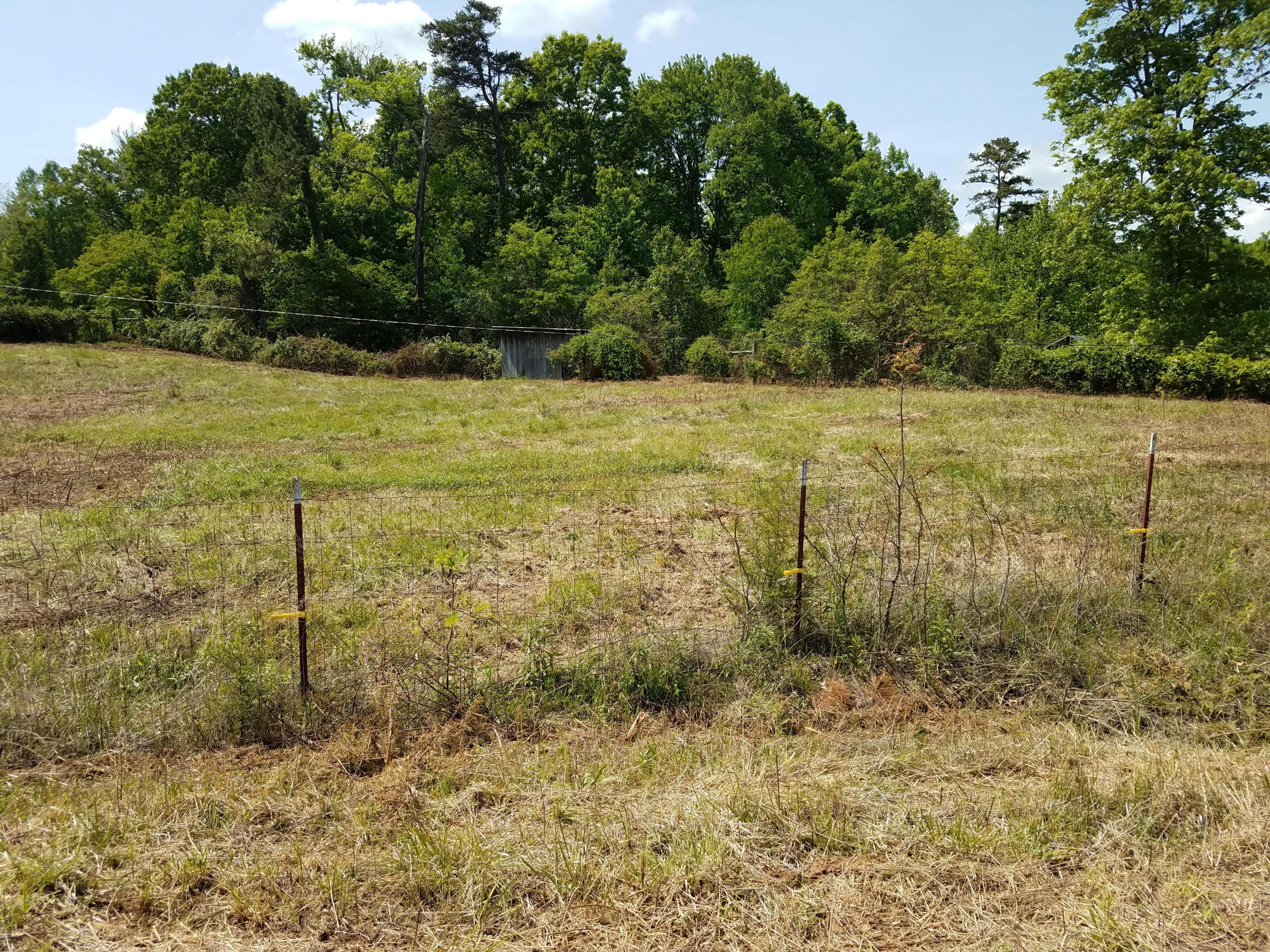 Clouds Road New Tazewell, TN 37825 - Photo 25 of 27 20200516_150901
