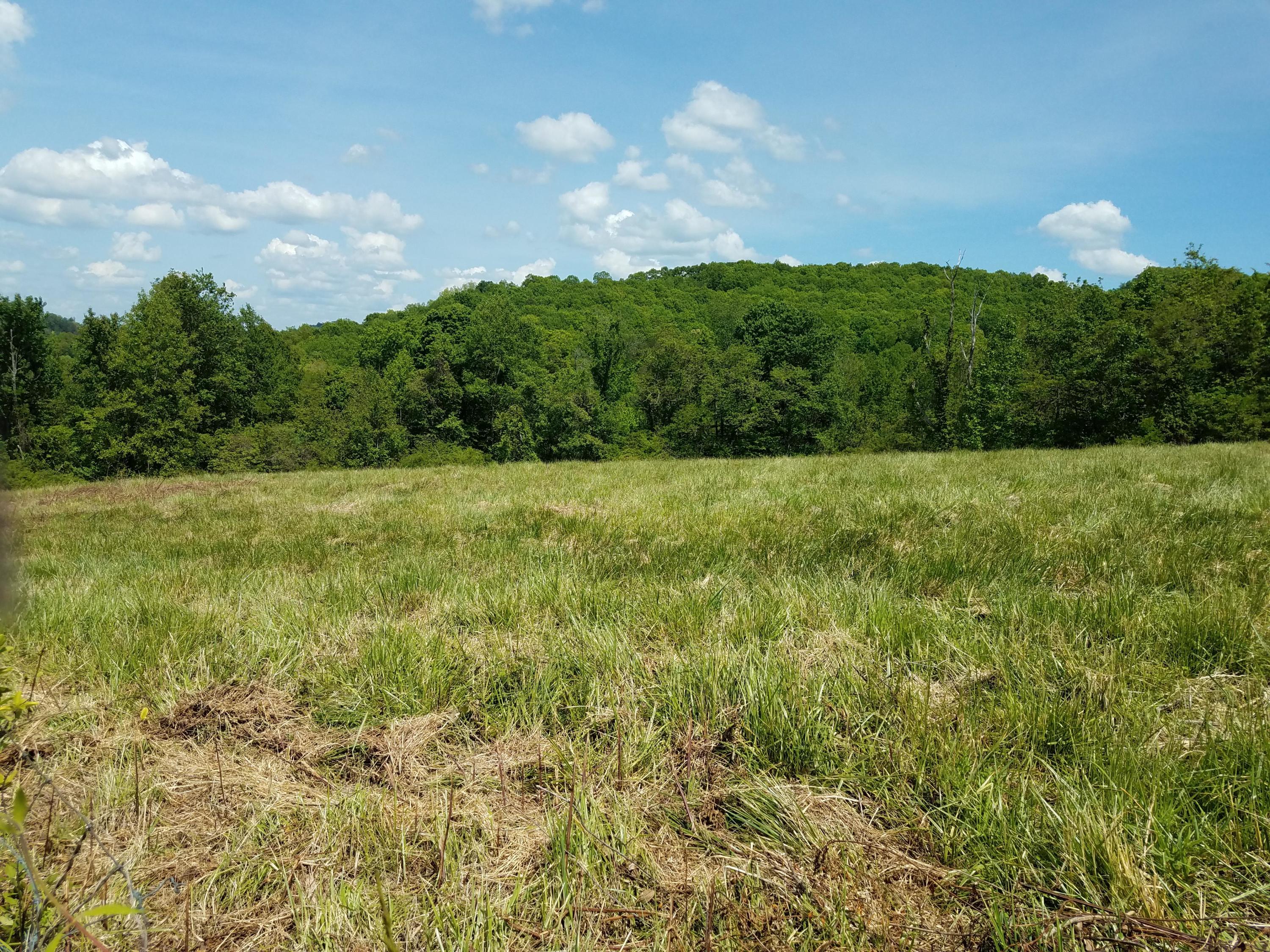 Clouds Road New Tazewell, TN 37825 - Photo 26 of 27 20200516_151146