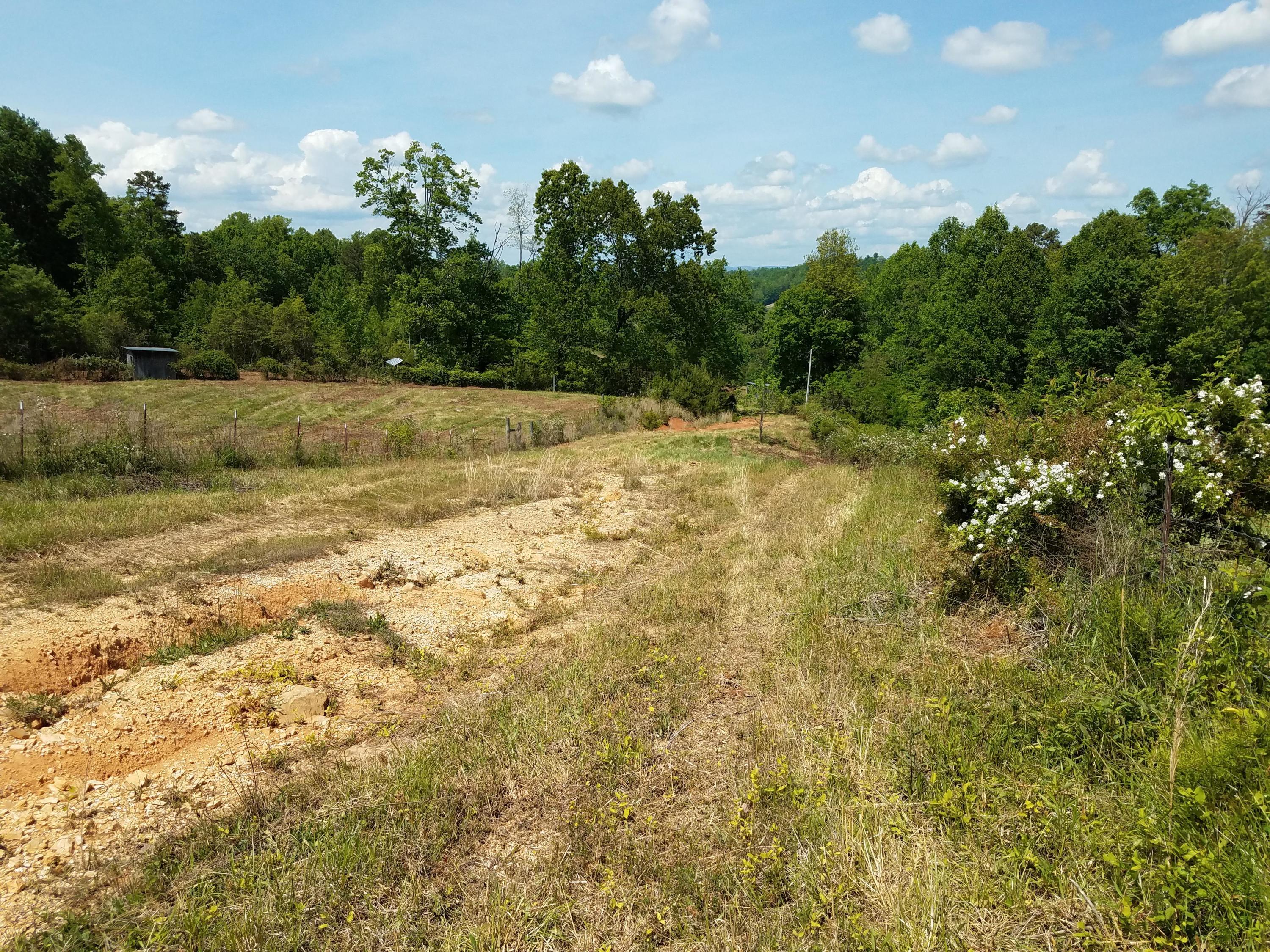 Clouds Road New Tazewell, TN 37825 - Photo 27 of 27 20200516_151157
