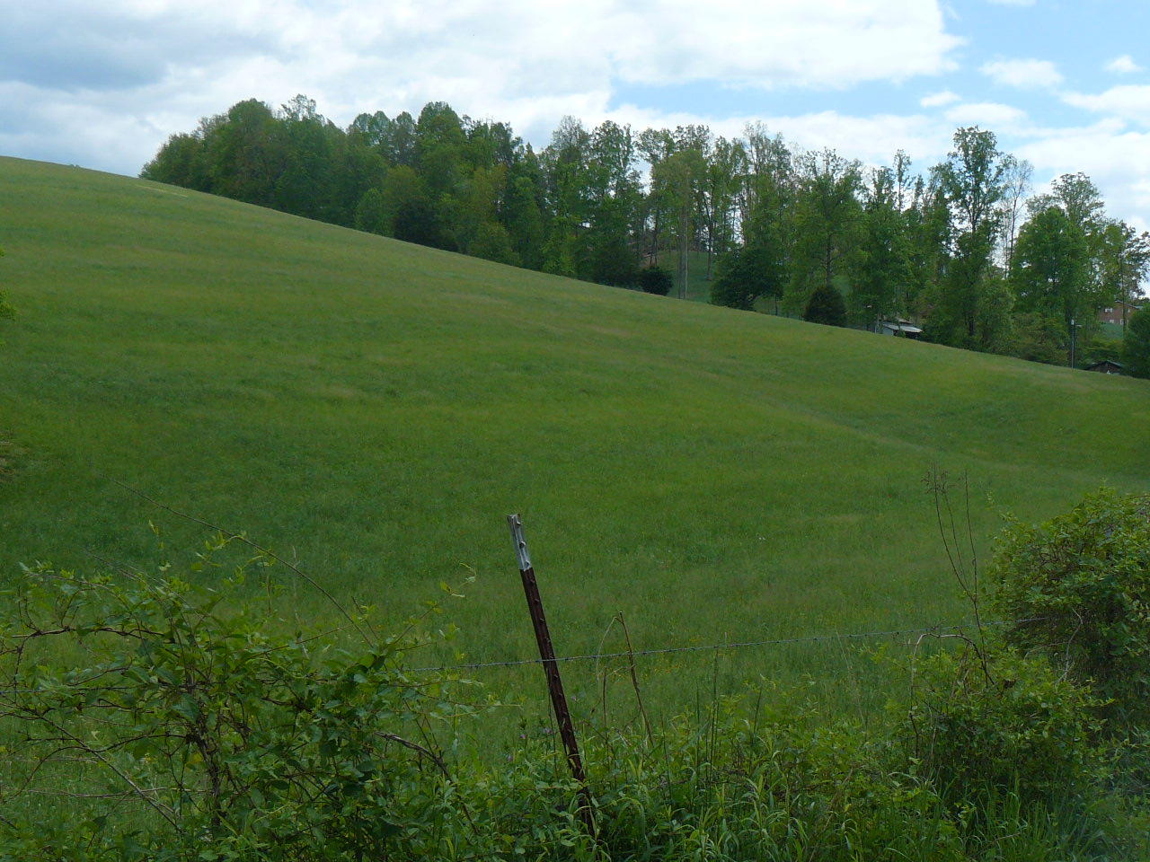 Clouds Road New Tazewell, TN 37825 - Photo 5 of 27 P1410242