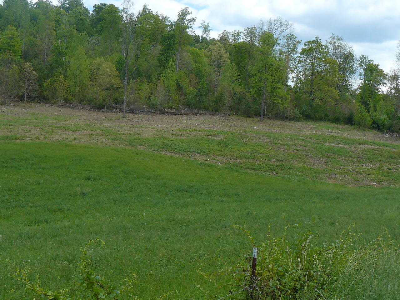 Clouds Road New Tazewell, TN 37825 - Photo 6 of 27 P1410237