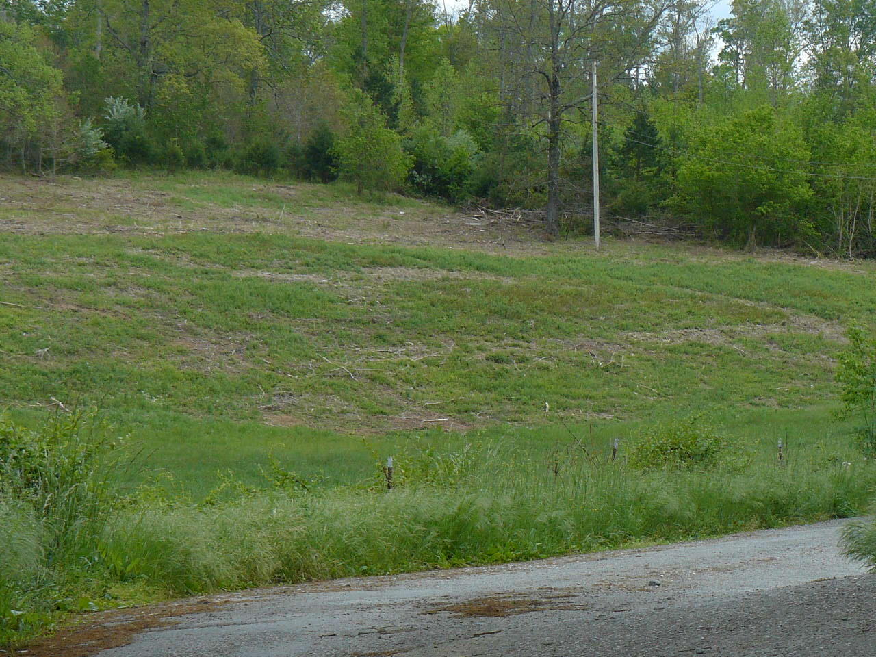 Clouds Road New Tazewell, TN 37825 - Photo 7 of 27 P1410235