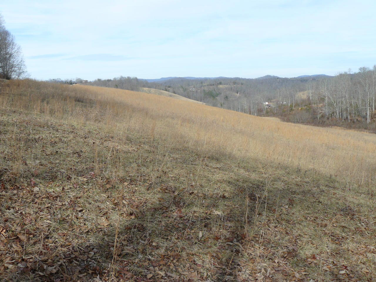 Clouds Road New Tazewell, TN 37825 - Photo 8 of 27 P1390135