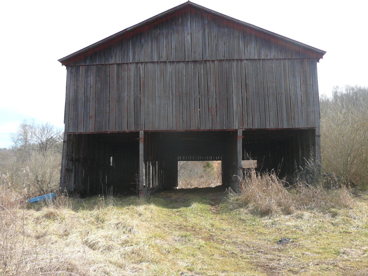 Clouds Road New Tazewell, TN 37825 - Photo 9 of 27 P1390142