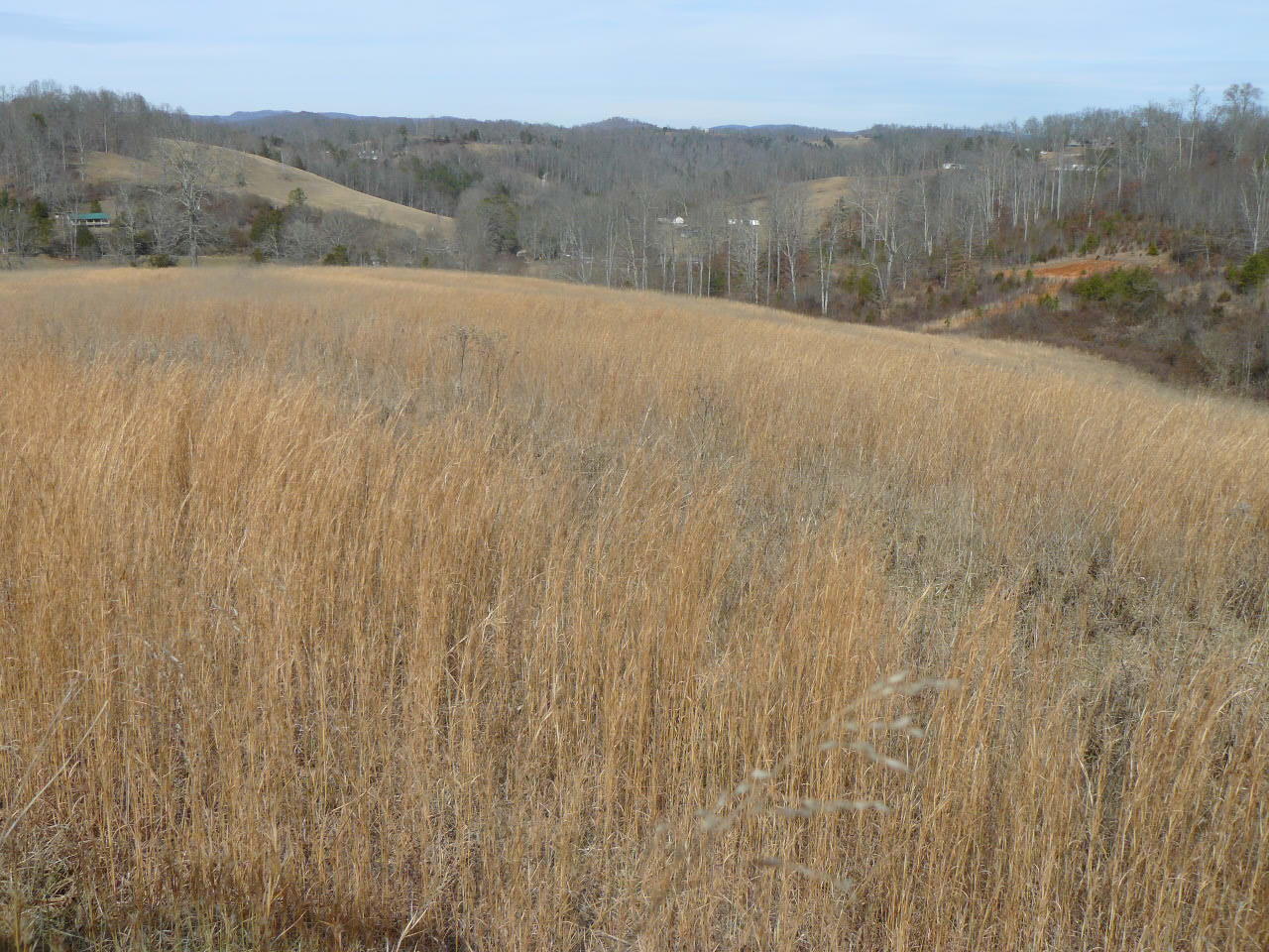 Clouds Road New Tazewell, TN 37825 - Photo 10 of 27 P1390136