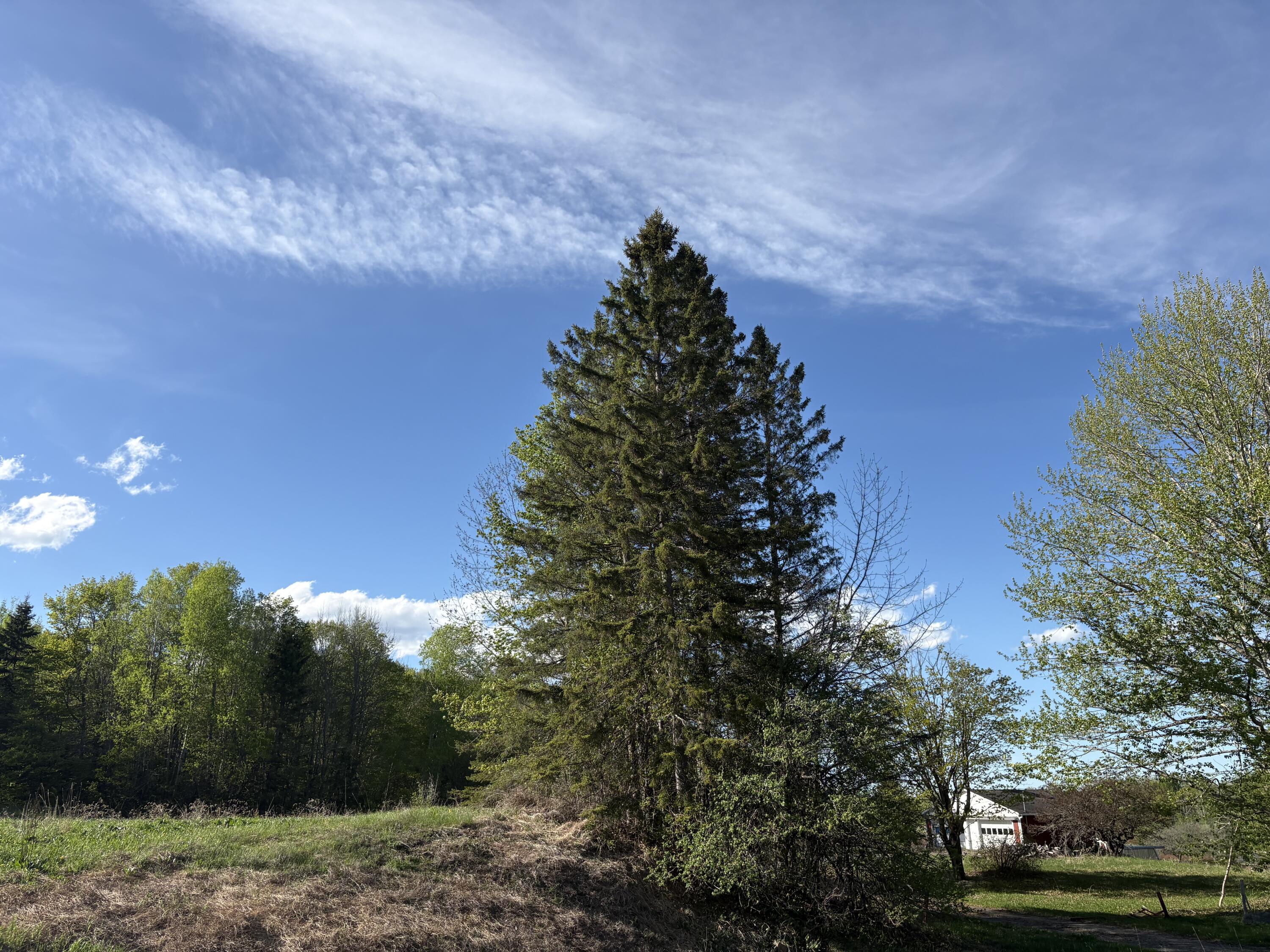 330 Presque Isle Road Fort Fairfield, ME 04742 - Photo 4 of 27 Fort Road B