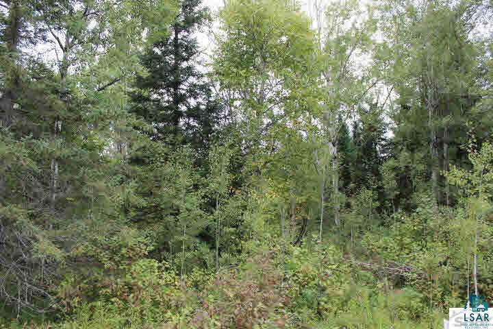 Xx Orienta Falls Road Port Wing, WI 54865 - Photo 1 of 3 Gallery Image 1
