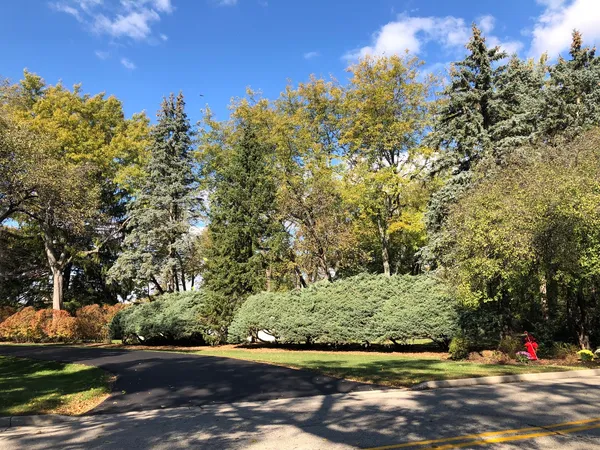 $900,000 | 320-380 Highland Avenue, Algonquin, IL 60102
