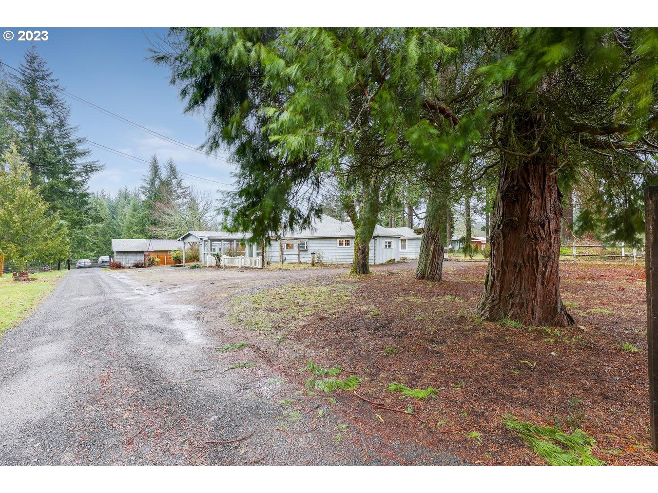 39161 Southeast Rude Road, Unit B Sandy, OR 97055 - Photo 3 of 32 a view of a yard with a tree