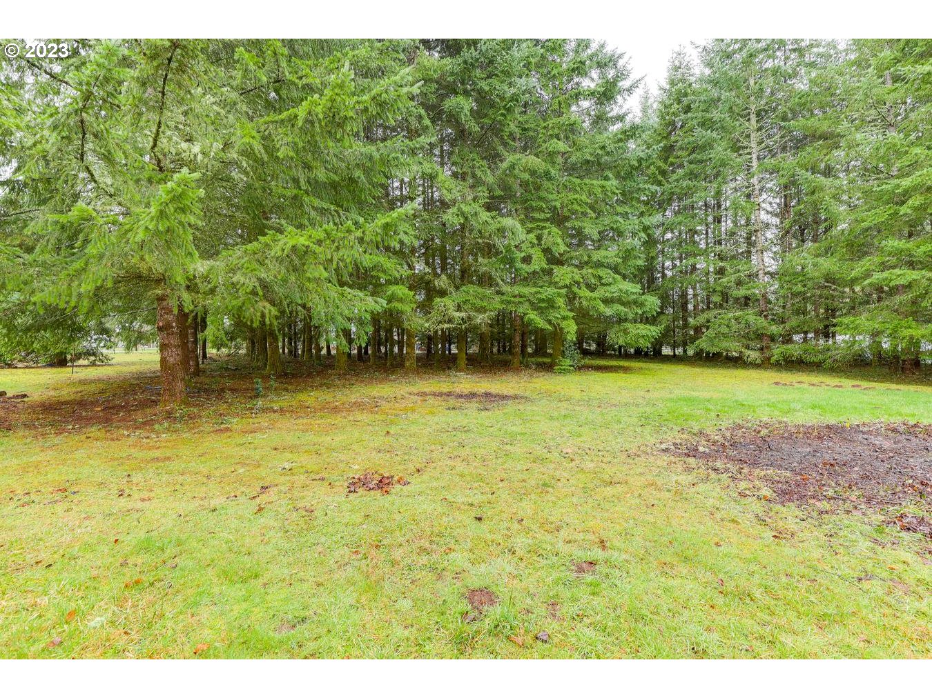 39161 Southeast Rude Road, Unit B Sandy, OR 97055 - Photo 5 of 32 a view of a yard with a tree