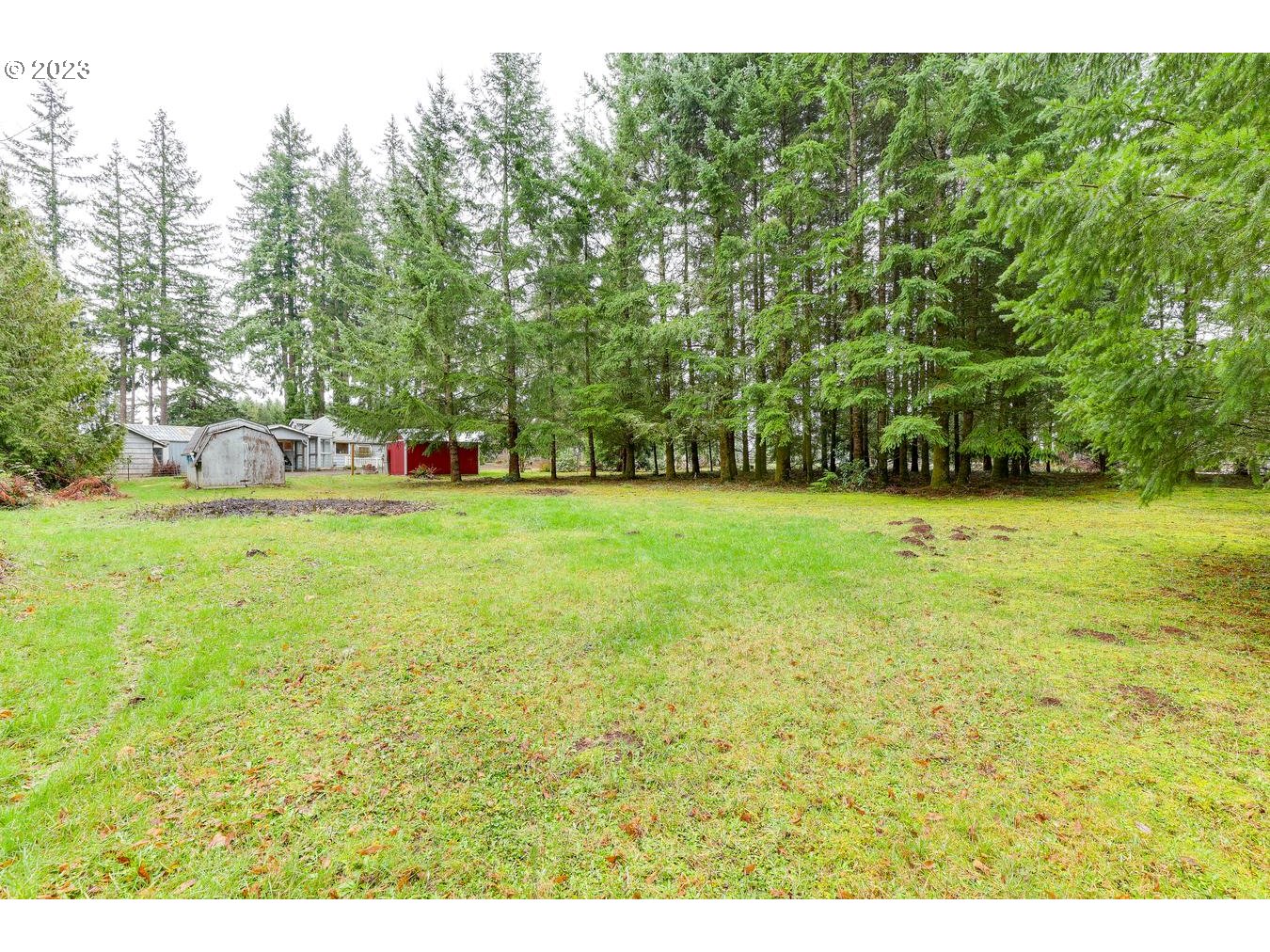 39161 Southeast Rude Road, Unit B Sandy, OR 97055 - Photo 6 of 32 a view of a green yard with trees in the background