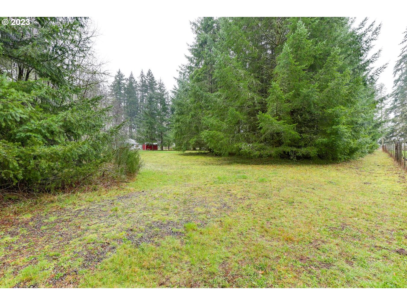 39161 Southeast Rude Road, Unit B Sandy, OR 97055 - Photo 7 of 32 a view of a yard with a tree