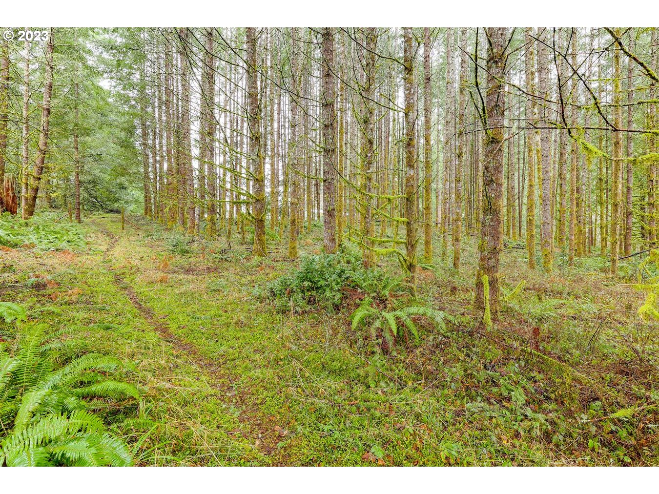 39161 Southeast Rude Road, Unit B Sandy, OR 97055 - Photo 9 of 32 a view of residential area with green space