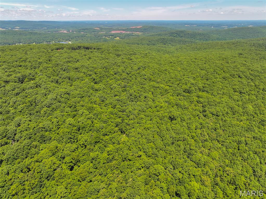 2 King School Road Ironton, MO 63650 - Photo 7 of 28