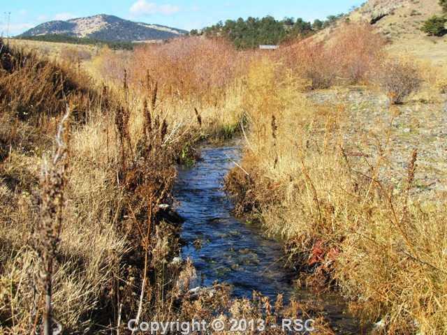 80 Post Road Guffey, CO 80820 - Photo 7 of 24 4-Mile Creek