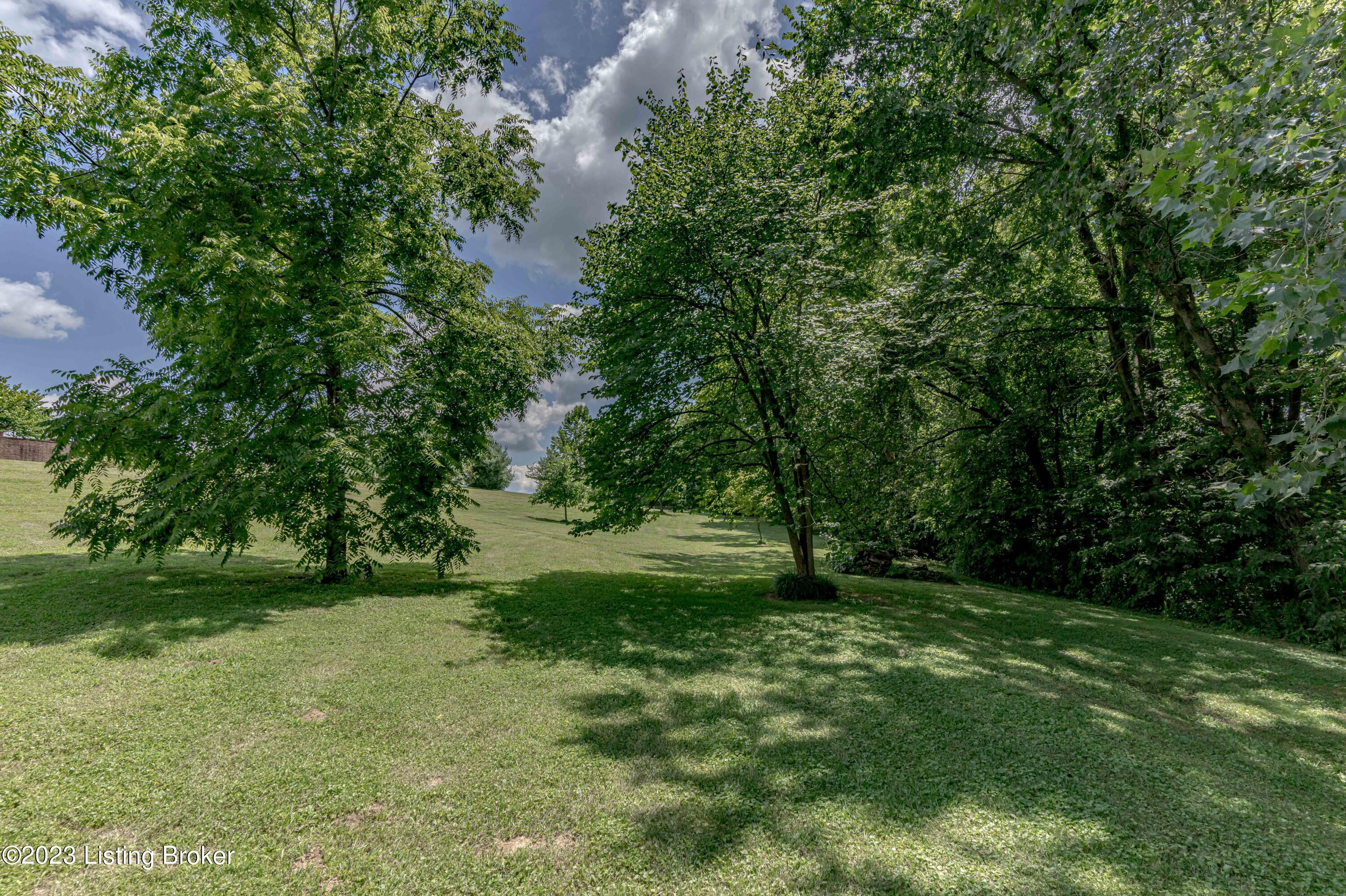 5835 Vigo Road Bagdad, KY 40003 - Photo 107 of 125 DSC01143